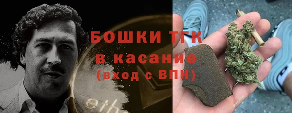 ECSTASY Горняк