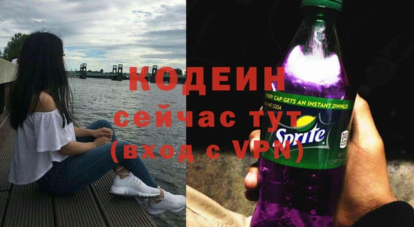молекула духа Гусиноозёрск