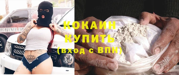 ECSTASY Горняк