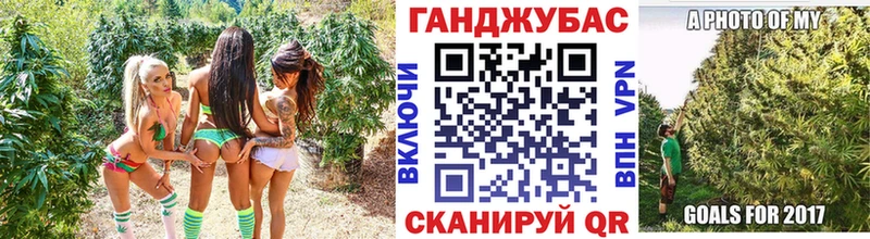 Купить где Новохопёрск МАРИХУАНА ГИДРОПОН